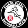 Sokol Písek