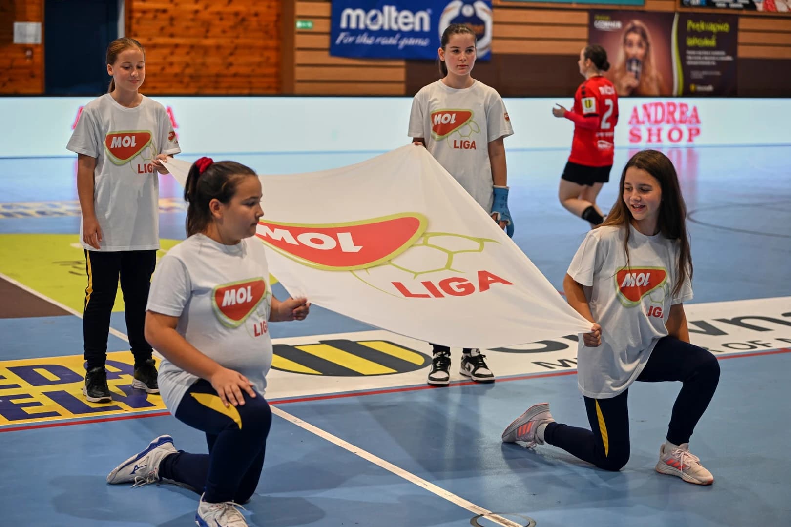 MOL liga: DAC sa na EP naladil víťazne, Most s odretými ušami