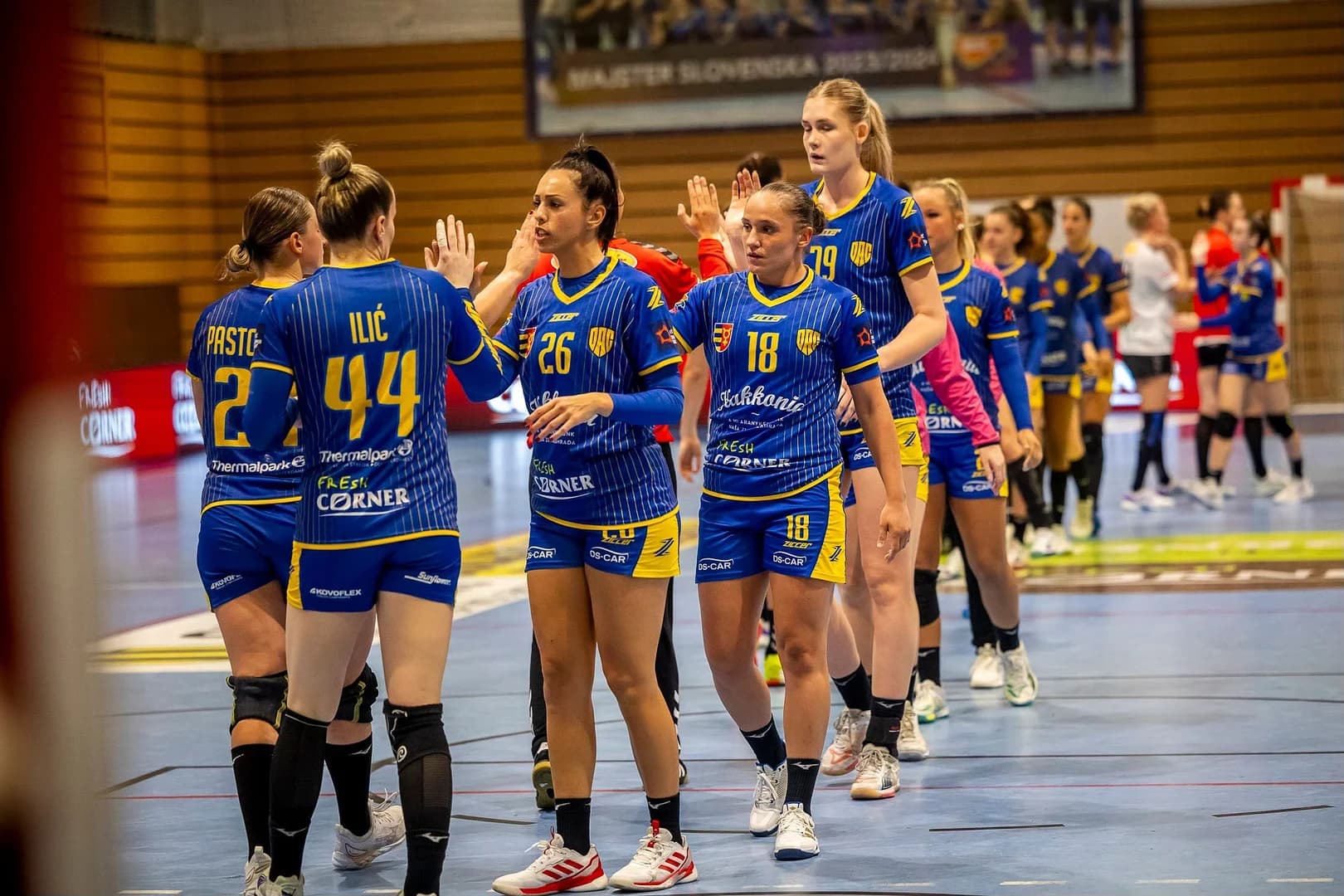 MOL liga: DAC a Iuventa víťazne, Šaľa s bodom