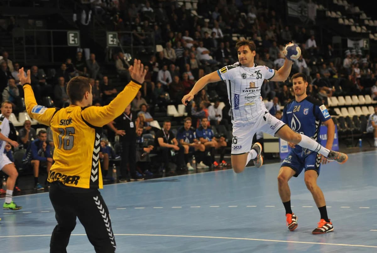 Hviezdny tím základnej časti SEHA League so 4 hráčmi Vardaru, MVP pre Záhrebčana Horvata